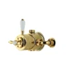 Aqualisa Aquatique Thermostatic Exposed Shower Valve Gold - 500.10.04 2 Aqualisa Aquatique Thermostatic Exposed Shower Valve Gold - 500.10.04 -Shower Escape Shop 0d98f601 630a 47fe a14f 5759f2626e95