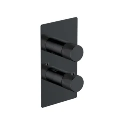 RAK Ceramics Amalfi Single Outlet 2 Handle Thermostatic Concealed Shower Valve In Matt Black - RAKAMA3301B