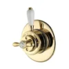 Aqualisa Aquatique Valve Thermo Concealed – Gold - 500.00.04 -Shower Escape Shop 5edfa304 56d5 4720 a822 cab721f88880