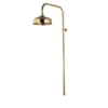 Aqualisa Aquatique Surface Mounted 8 Inch Fixed Shower Head Gold - 581.04 -Shower Escape Shop 7f440d6a 98d2 46ef 8ff3 c4a75aefbe91