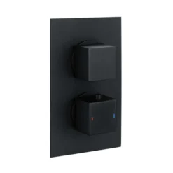 RAK Ceramics Square Dual Outlet 2 Handle Thermostatic Concealed Shower Valve In Black - RAKSHW3202SB